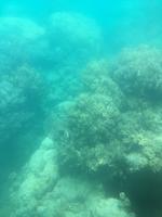 Great Barrier Reef