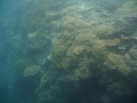 Great Barrier Reef