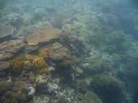 Great Barrier Reef