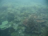 Great Barrier Reef