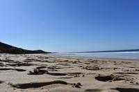 Great Ocean Road