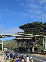 Great Ocean Road