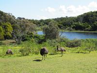 Great Ocean Road