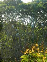 Kakadu Nationalpark