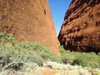 Kata Tjuta Walpa Schlucht