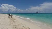 Koralleninsel Michaelmas Cay und die Ocean Spirit