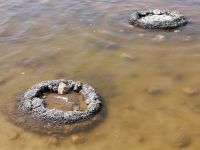 Lake Theti, Stomatolithen