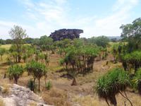 Landschaft am Ubirr Rock
