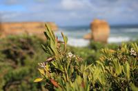 Loch Ard Gorge