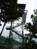 Mamu Canopy Walk