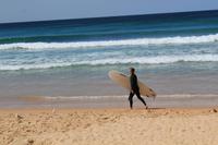 Manly Beach