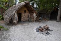 Maori Hütte