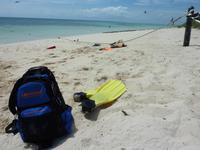 Michaelmas Cay