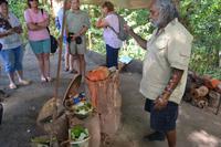 Mossman Gorge (4)