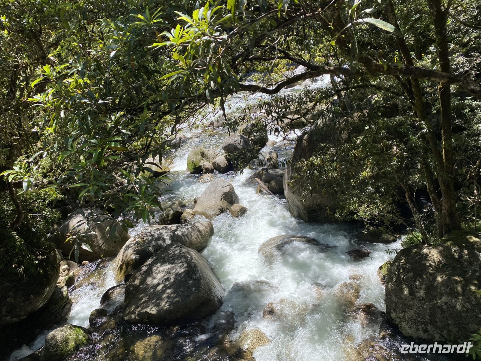 Mossman Gorge