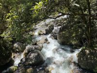 Mossman Gorge