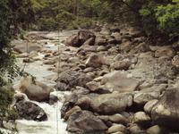 Mossman Schlucht
