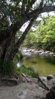 Mossman Schlucht