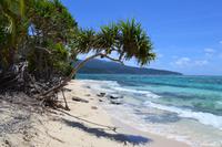 Mystery Island