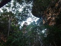 Nourlangie-Felsen