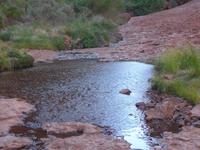 Olgas