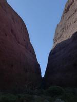 Olgas