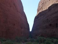 Olgas