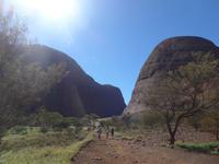Olgas