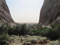 Olgas