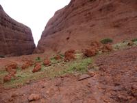 Outback - Walpa Gorge
