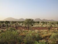 Outback