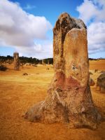 Pinnacles Nambung NP