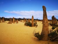 Pinnacles Nambung NP