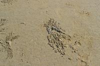 Port Douglas (7)