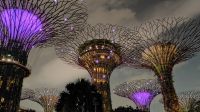 Rhapsodie Show, Gardens by the bay Singapur 