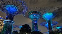 Rhapsodie Show, Gardens by the bay Singapur 