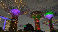 Rhapsodie Show, Gardens by the bay Singapur 