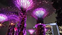 Rhapsodie Show, Gardens by the bay, Singapur 