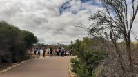 Rundreise Australien - Besuch der Pinnacles-Kalksteinfelsen
