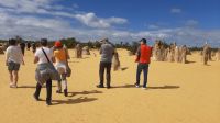 Rundreise Australien - Besuch der Pinnacles-Kalksteinfelsen