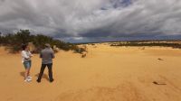 Rundreise Australien - Besuch der Pinnacles-Kalksteinfelsen