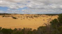 Rundreise Australien - Besuch der Pinnacles-Kalksteinfelsen