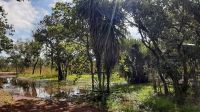 Rundreise Australien - Besuch im Pudakul Aboriginal Center