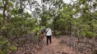Rundreise Australien - Besuch im Pudakul Aboriginal Center - Rundgang im Busch