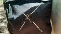 Rundreise Australien - Besuch im Pudakul Aboriginal Center 