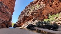 Rundreise Australien - Besuch von Simpsons Gap