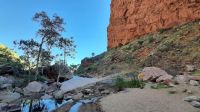 Rundreise Australien - Besuch von Simpsons Gap