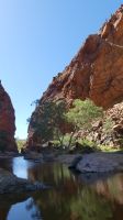 Rundreise Australien - Besuch von Simpsons Gap