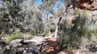 Rundreise Australien - Besuch von Stanley Chasm