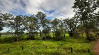 Rundreise Australien - Fahrt Richtung Kakadu-Nationalpark